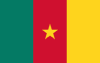 Flag Cameroon